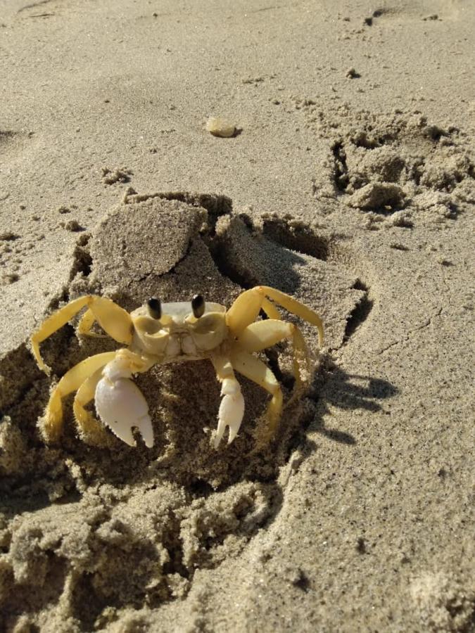 Varanda Suspensa Em Sao Sebastiao.アパートメント エクステリア 写真